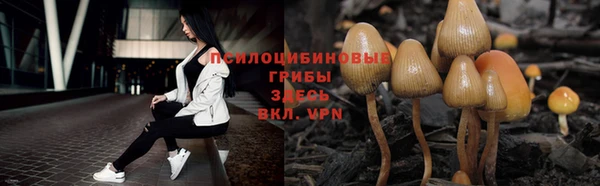 тгк Абинск