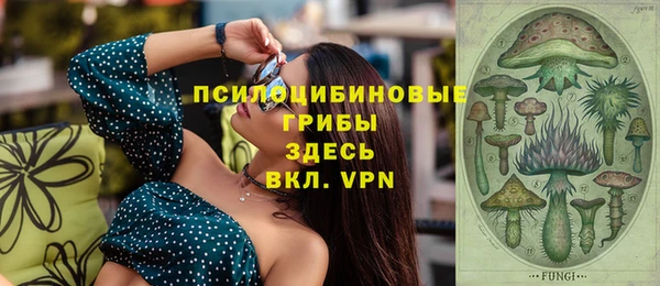 тгк Абинск