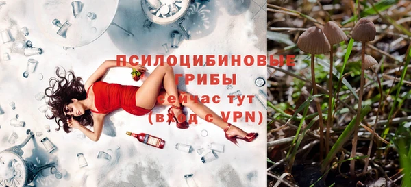 а пвп мука Абаза