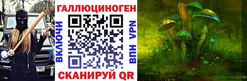 как найти закладки  Черемхово  OMG онион  Псилоцибиновые грибы Magic Shrooms 